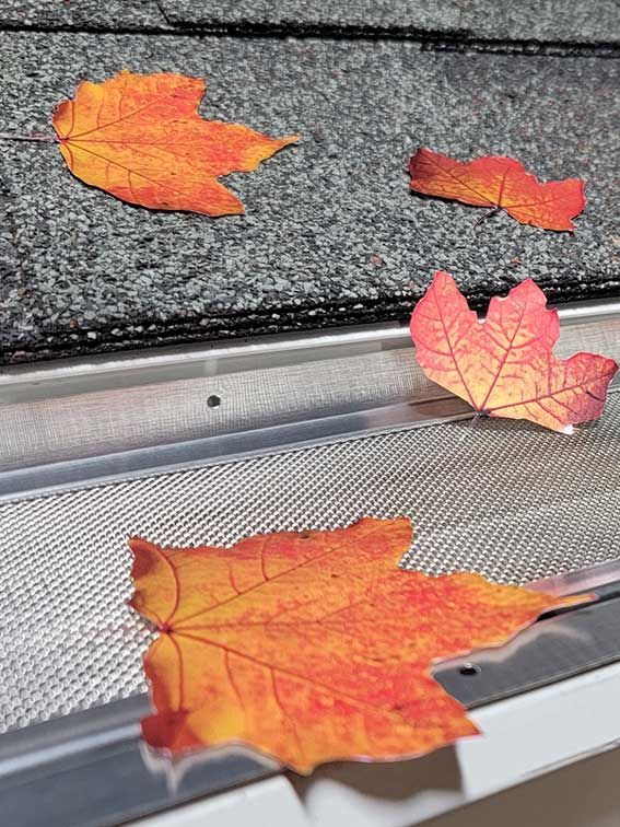 Orange autumn leaves on a textured car roof and windshield wiper area