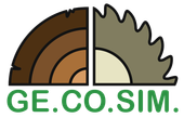 GE.CO.SIM. - Logo