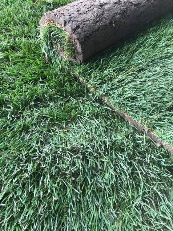 A roll of grass is sitting on top of a lush green field.