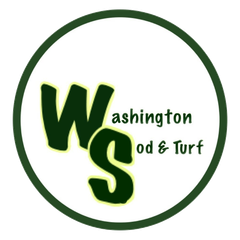 Washington Sod and Turf Washington Sod and Turf