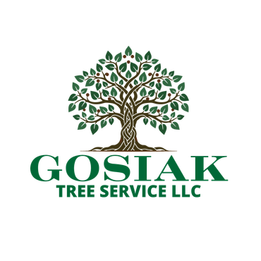 GOSIAK Tree Service LLC logo with green tree silhouette and orange-green text