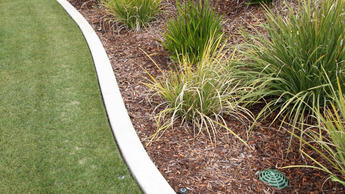 Curved white garden border beside green lawn and mulched planting bed with ornamental grasses