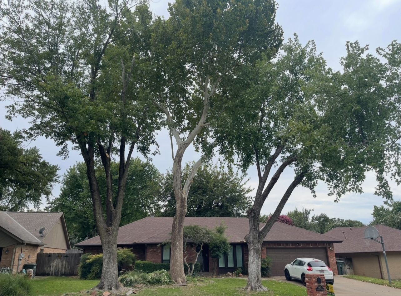 Suburban house with large trees in front yard and a car parked in the driveway