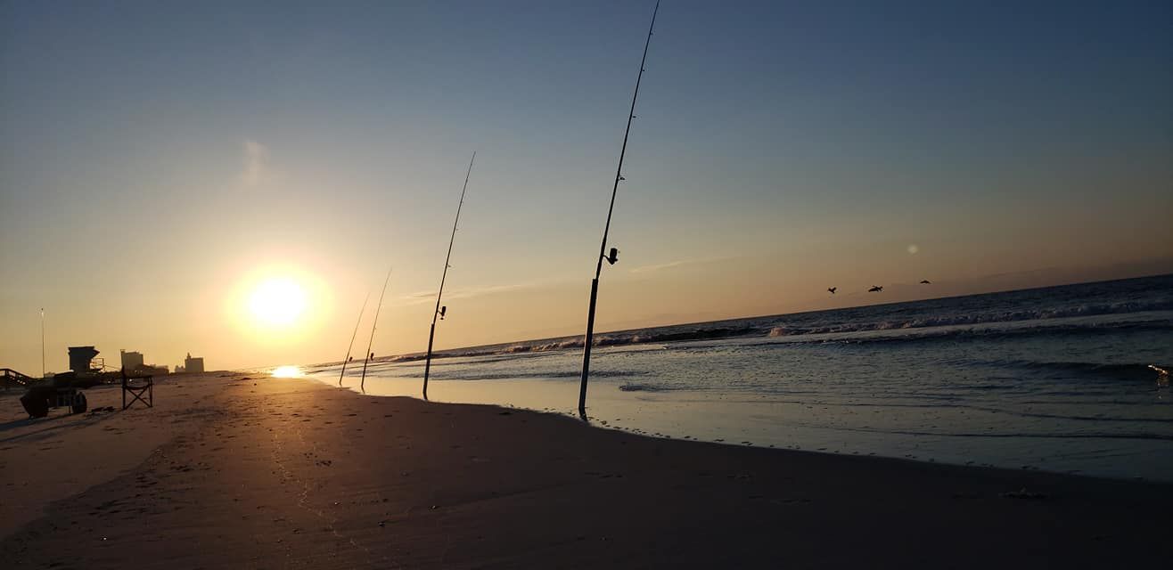 Surf Fishing