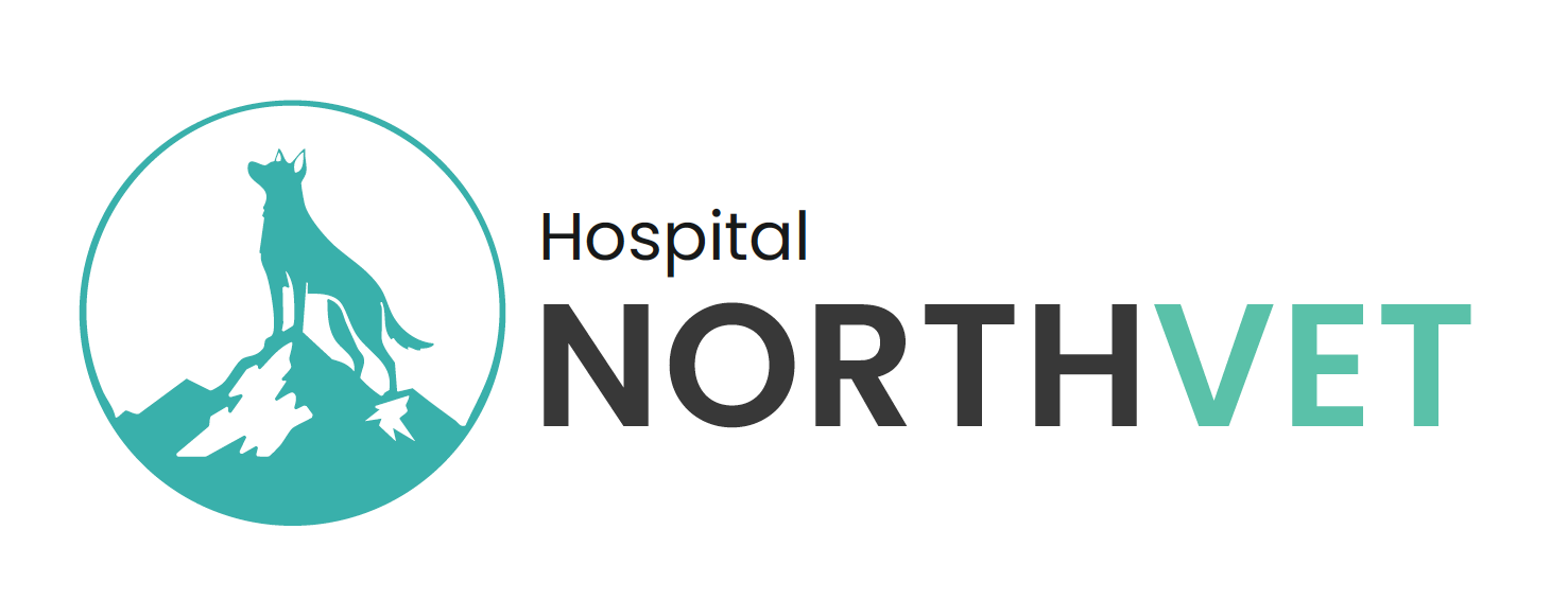 Silueta de un perro encima de una roca con un atardecer de fondo, logotipo del North Vet Hospital.