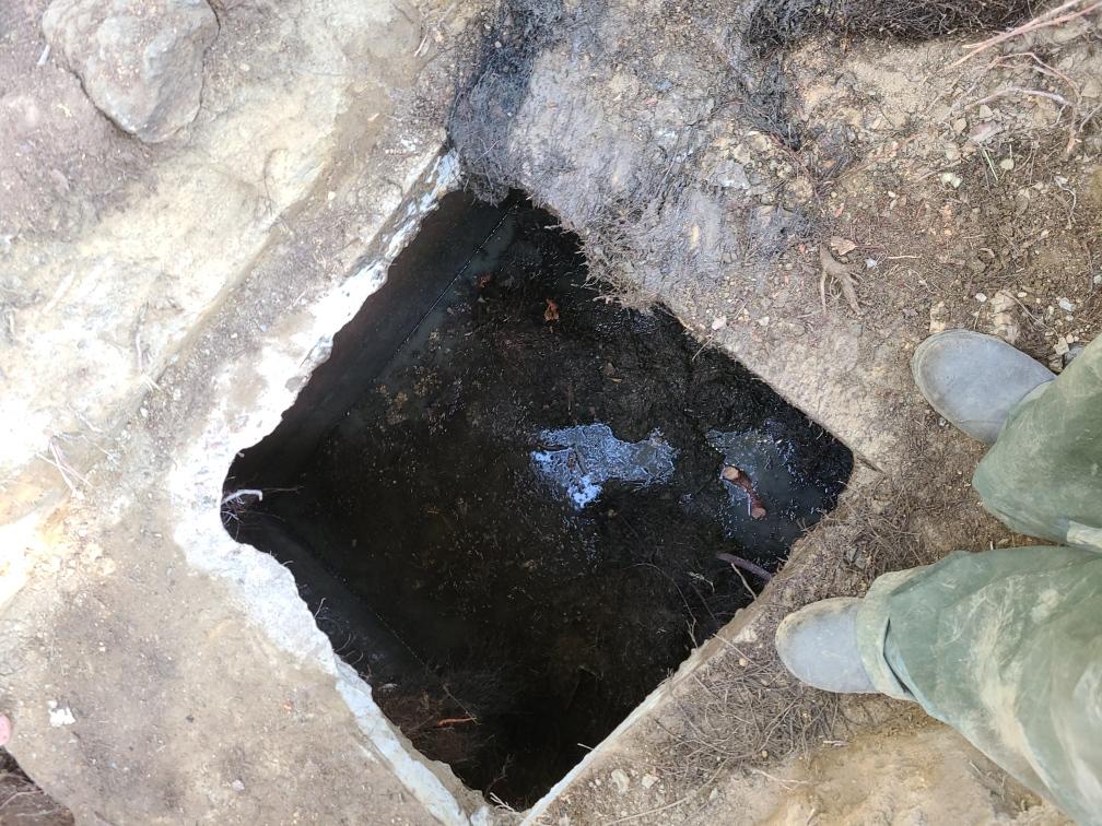 Plumbers Near Me