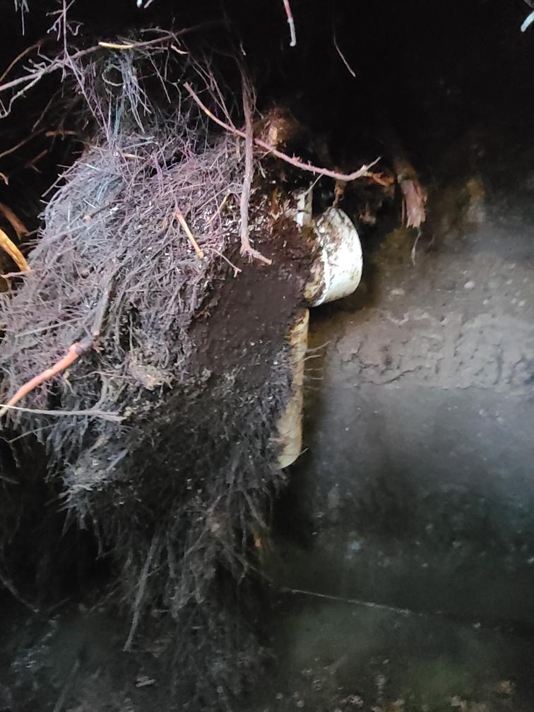 Plumbers Near Me