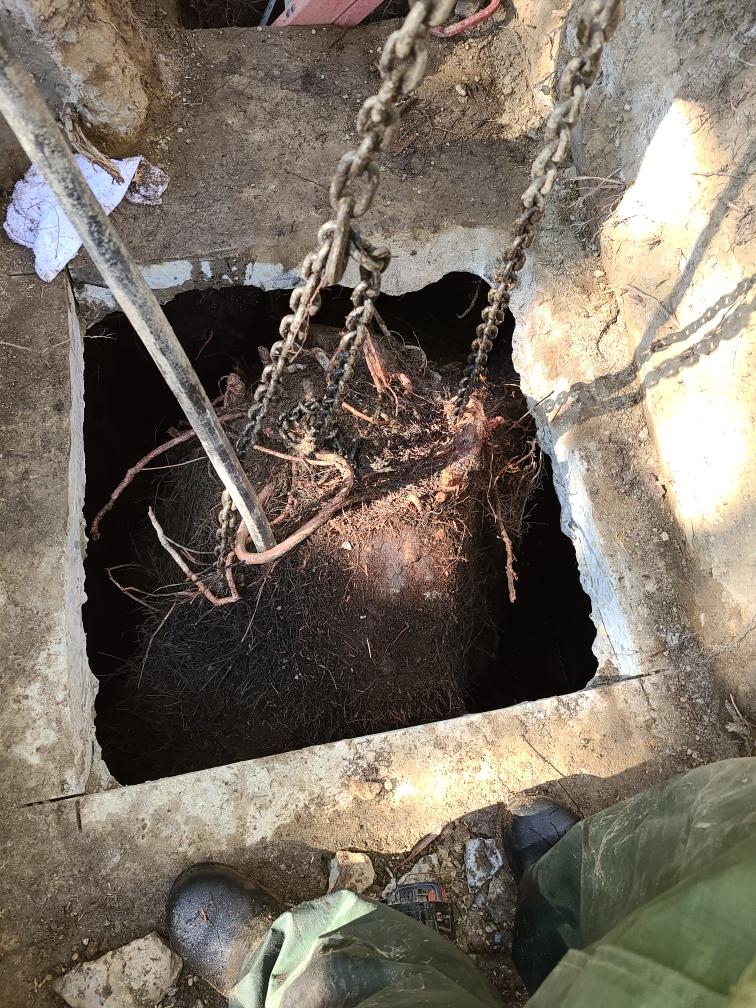 Plumbers Near Me