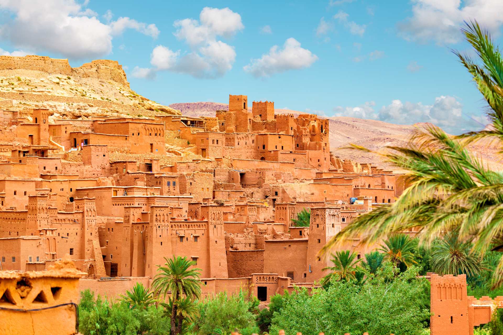 Oasi, dune e deserto