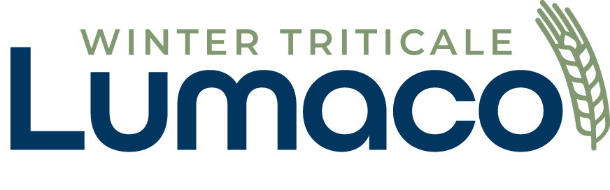Lumaco winter triticale Senova
