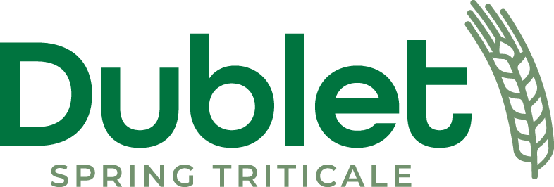 Agostino triticale