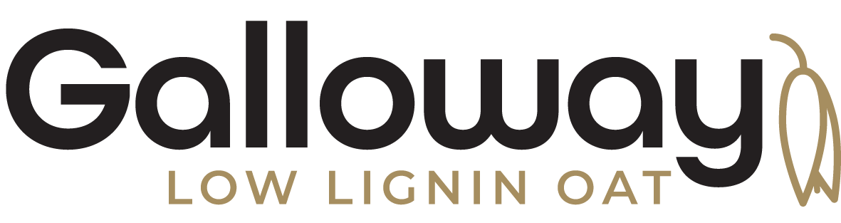 Galloway low lignin feed oat