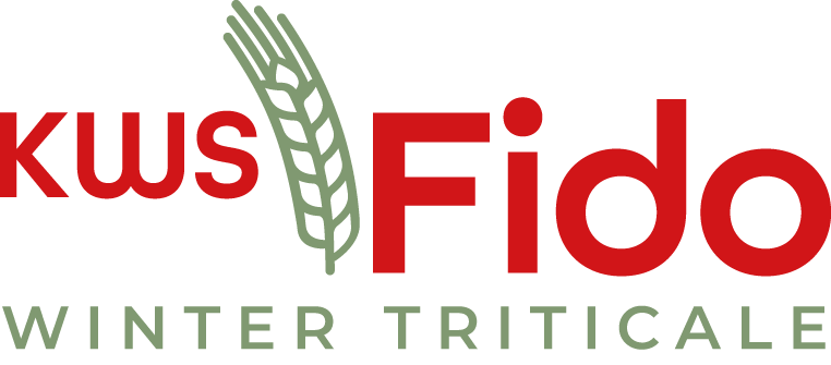 KWS Fido triticale