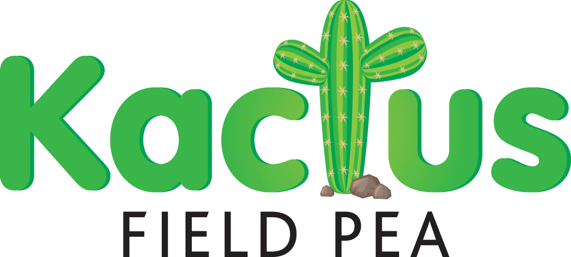 Kactus large blue pea