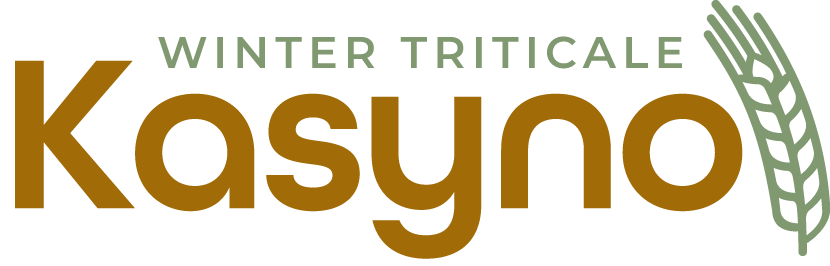 Kasyno triticale
