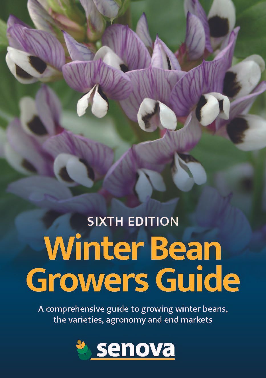 Download Winter bean growers guide