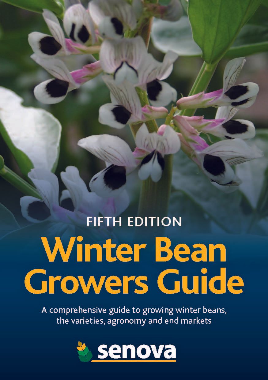 Download Winter bean growers guide