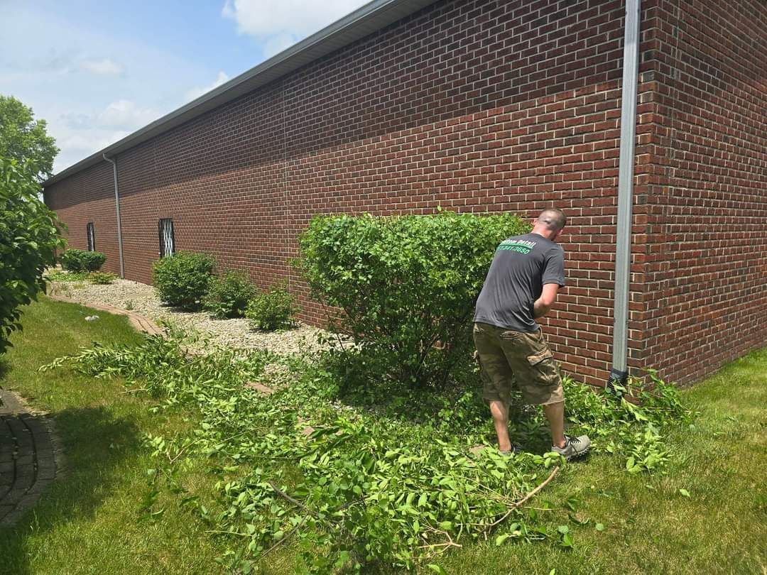 Man trimming bushes next to a brick building; green leaves on the ground.
