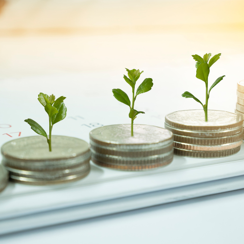 a stack of coins with plants growing out of them - private loans