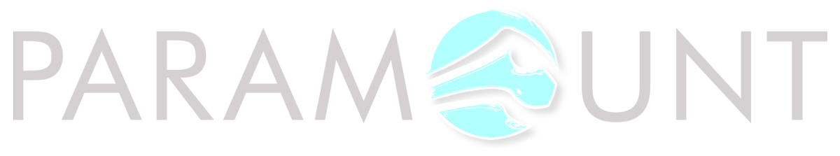 A blue and white logo for paramount on a white background.