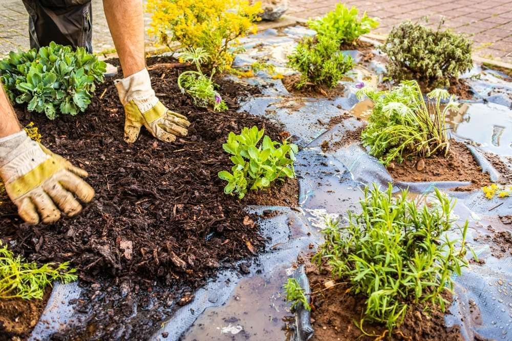 A Person Is Planting Plants In A Garden — HKL Landscape Supplies in Hallidays Point, NSW