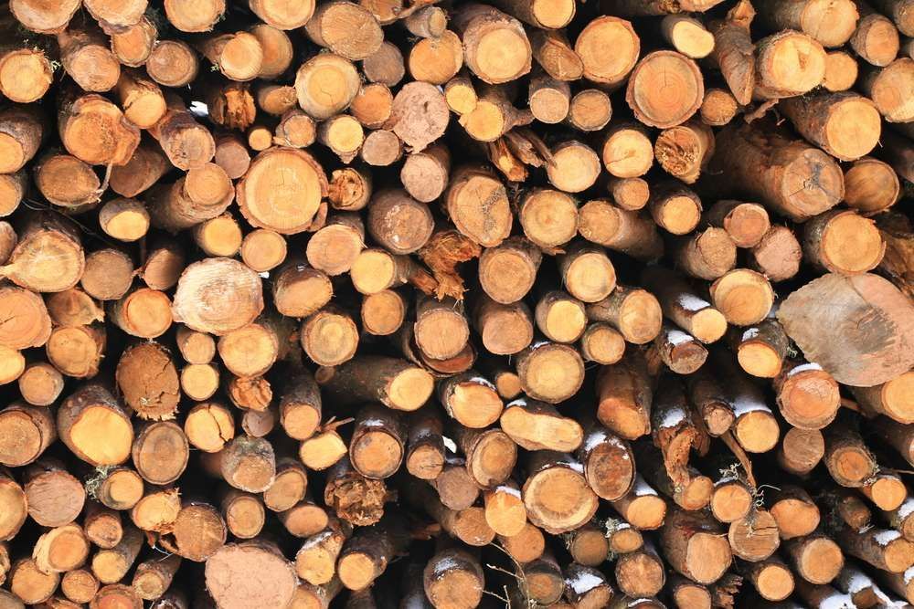 A Pile Of Logs Stacked On Top Of Each Other — HKL Landscape Supplies in Gloucester, NSW