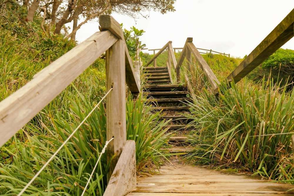 A Wooden Bridge With Stairs Leading Up To A Grassy Hill — HKL Landscape Supplies in Tuncurry, NSW 