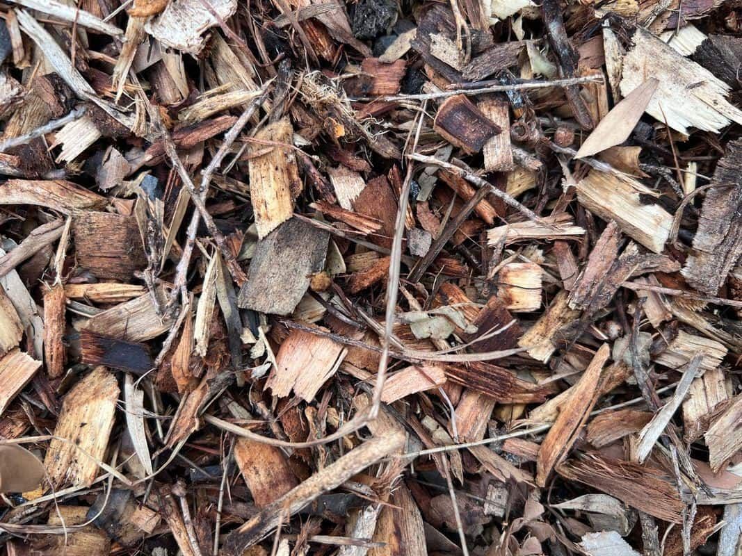 Forest Mulch — HKL Landscape Supplies in Taree South, NSW