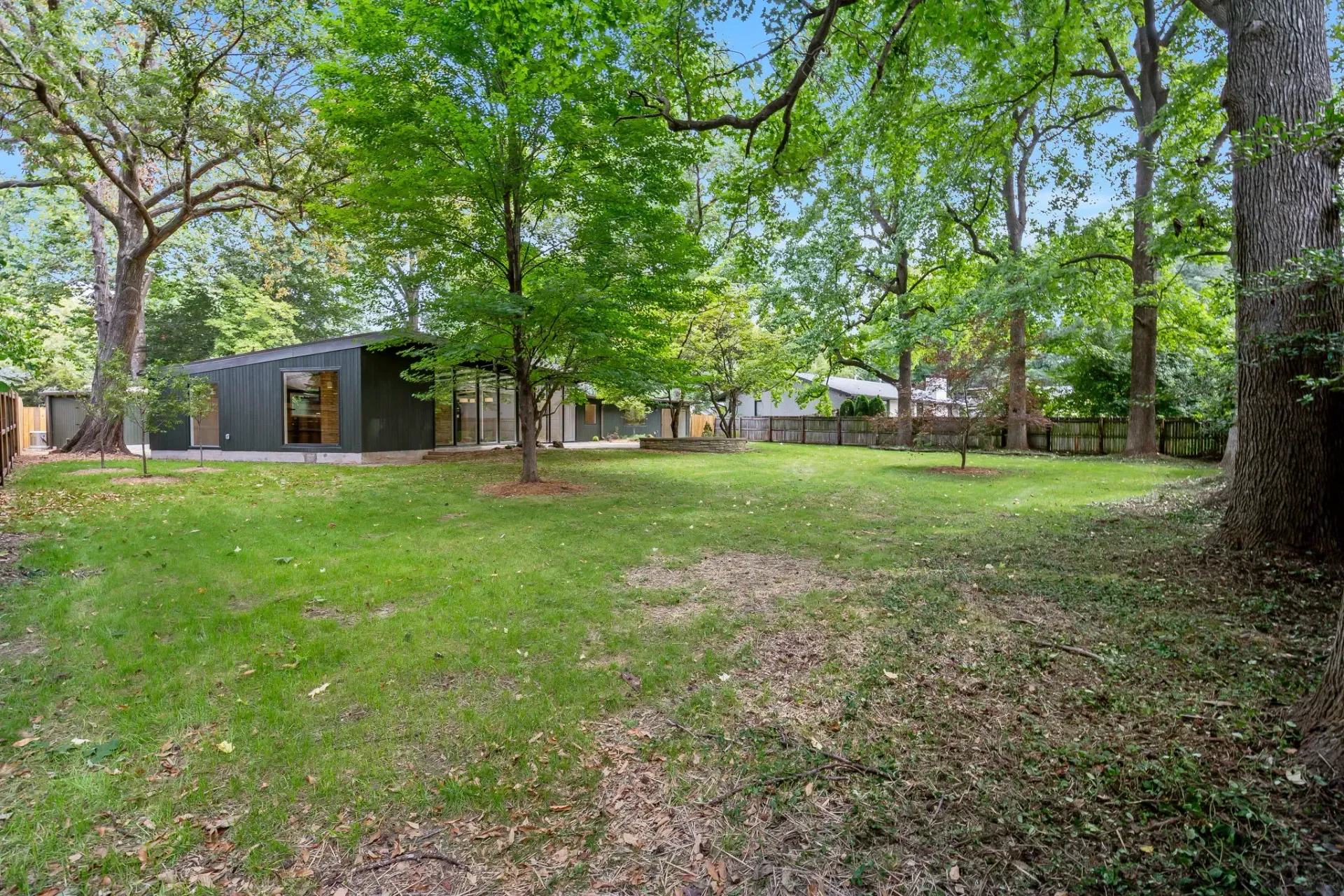 Grassy yard with scattered trees and a small shed under a bright green canopy