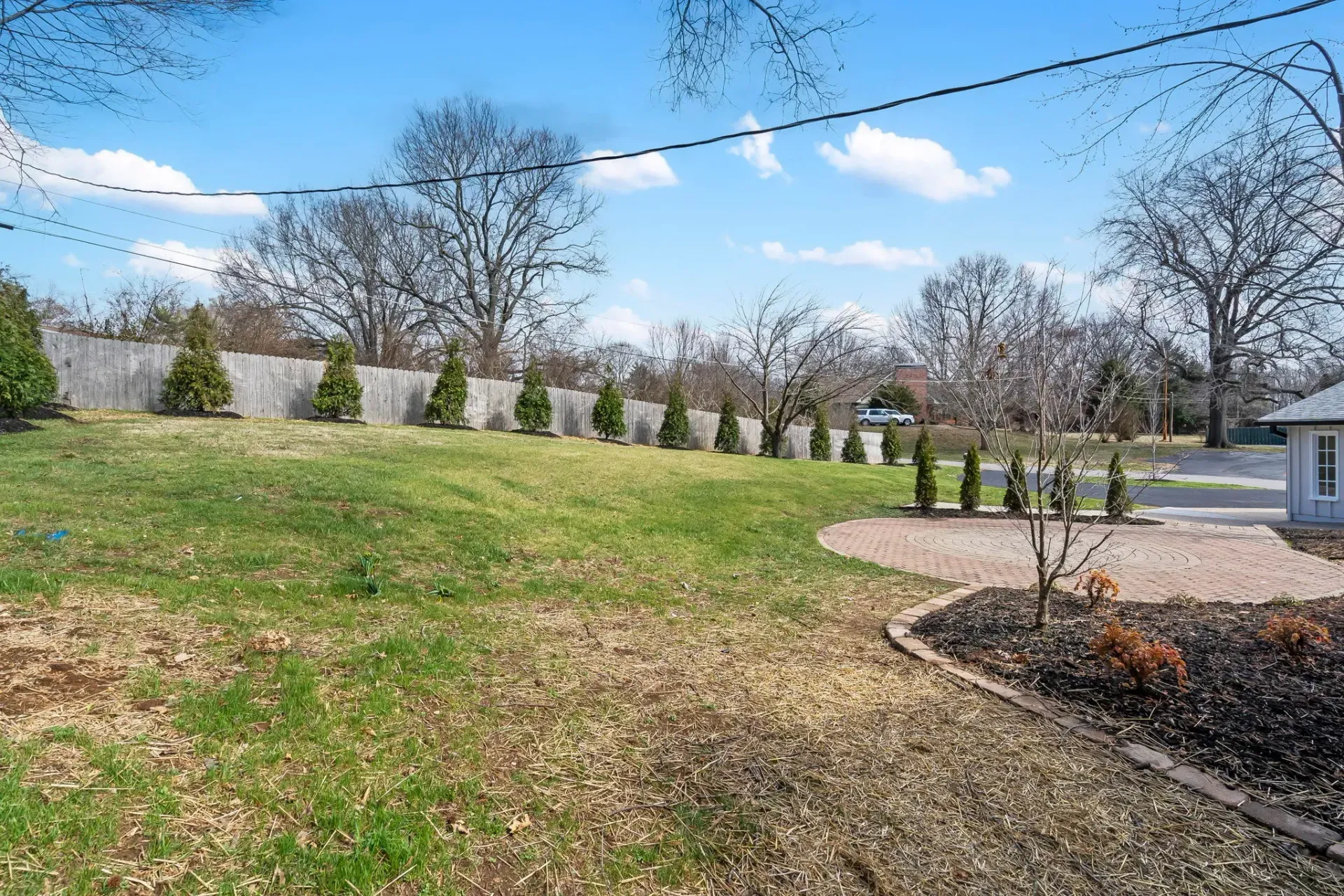 Sunny park lawn with leafless trees, a paved path, and blue sky with clouds