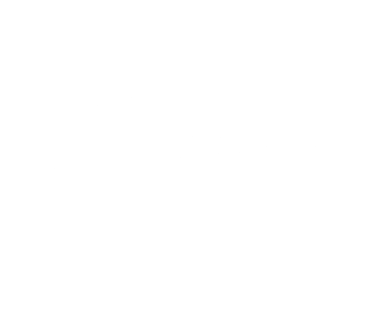 Caruso logo white screen with a thin gray border
