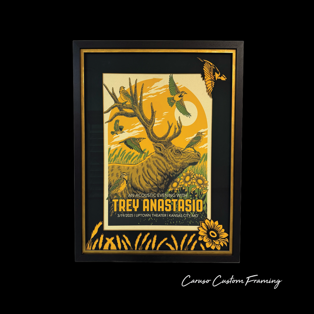 Framed Trey Anastasio poster with orange-yellow artwork of a tree and bird on a black background