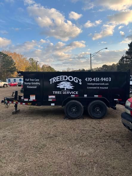 Black TREE DOGS tree service trailer parked in a grassy yard at sunset with cloudy sky