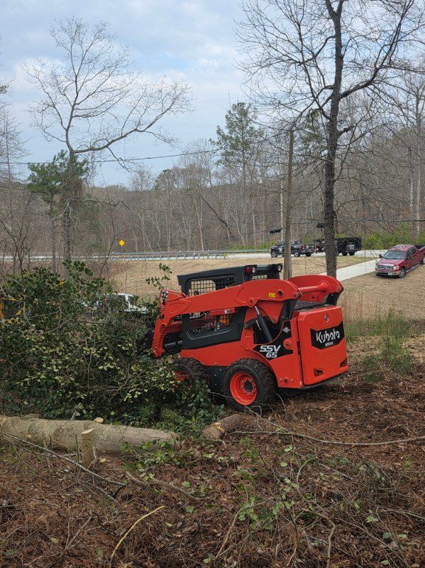 Red skid steer clearing brush near a fallen tree in a wooded area with parked cars nearby
