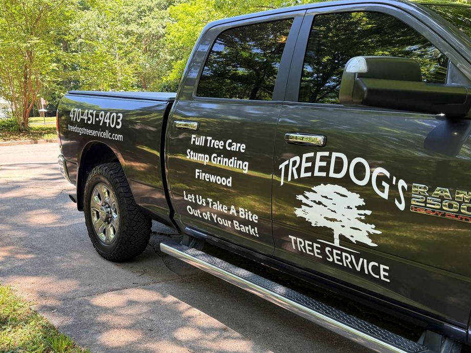 Black pickup truck with TREE DOG'S Tree Service branding parked on a sunlit road