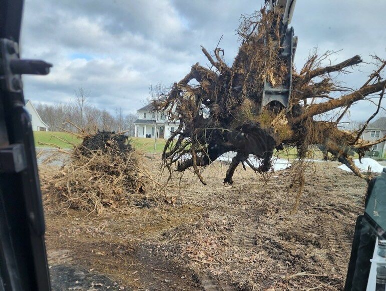 A large tree stump is being lifted by a crane in a field.