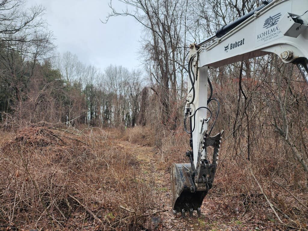 A bulldozer is digging a hole in the middle of a forest.