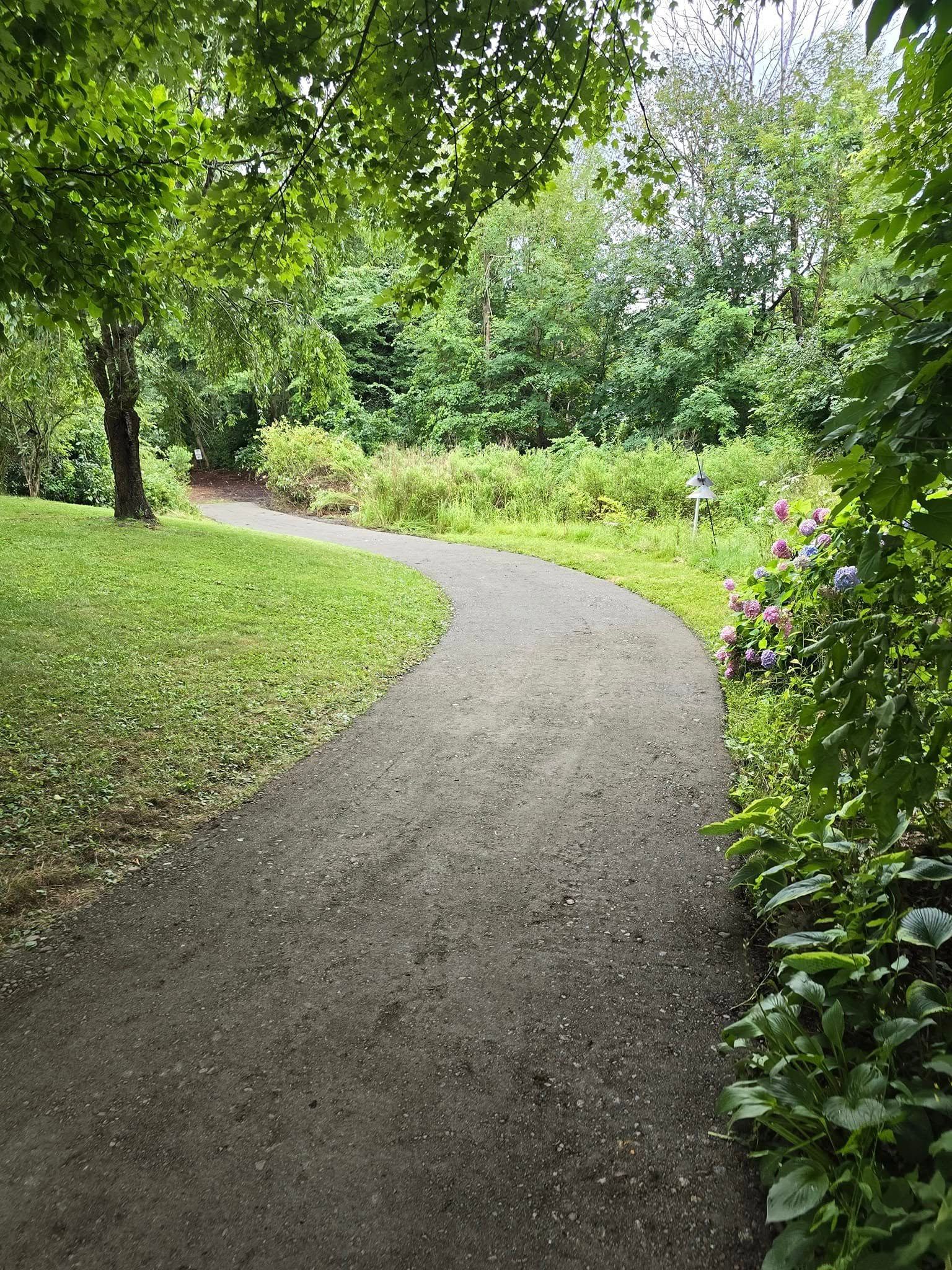 A path in the middle of a park surrounded by trees and grass.