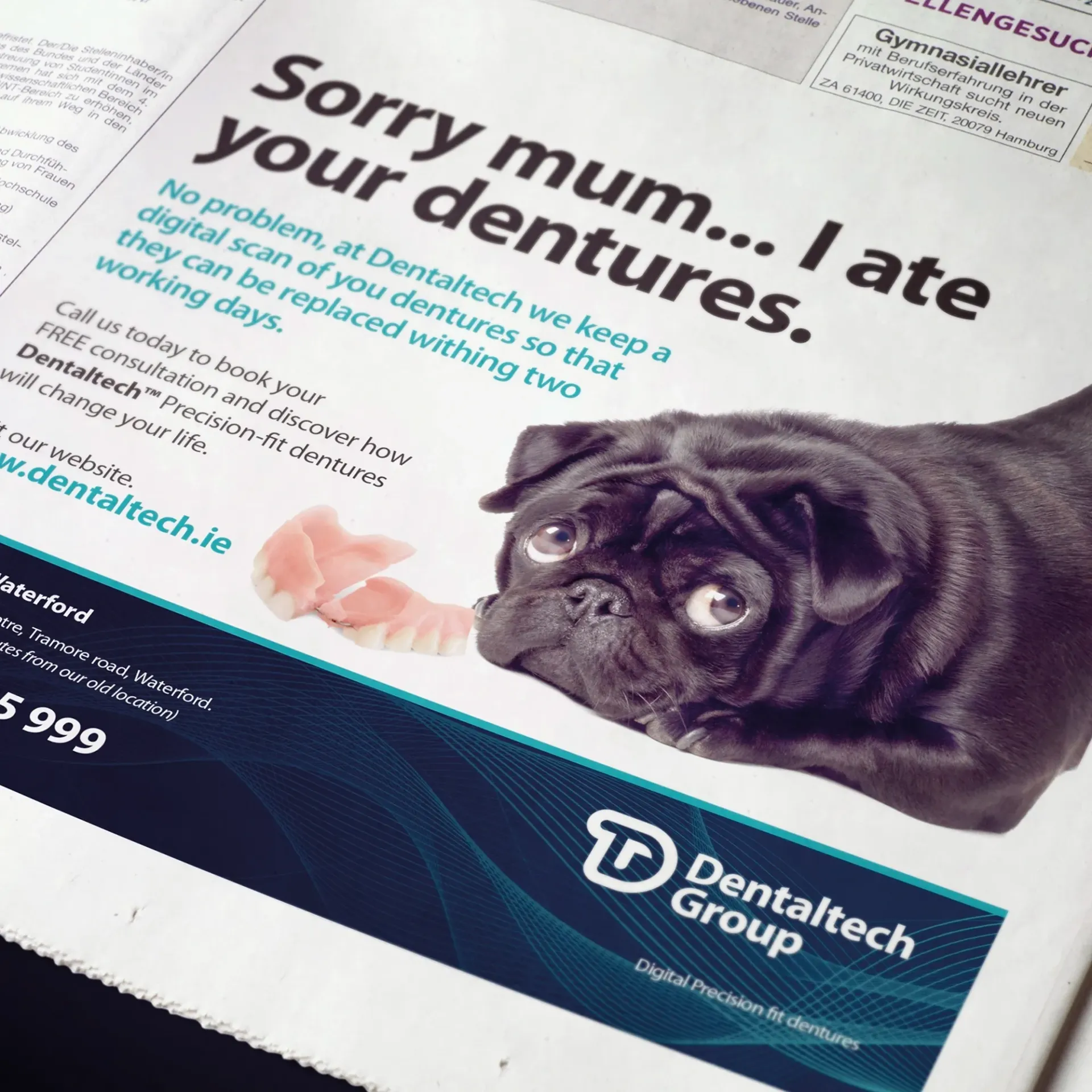 Advertisement: Pug looking guilty, near dentures. Text: 