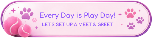 Schedule complimentary meet and greet with Doggy K Care in Paducah, KY