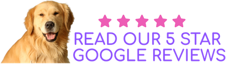 Dog smiling at 5 star Google reviews for Doggy K Care in Paducah, KY