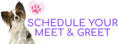 Schedule a complimentary Meet and Greet for dog boarding at Doggy K Care in Paducah, Kentucky
