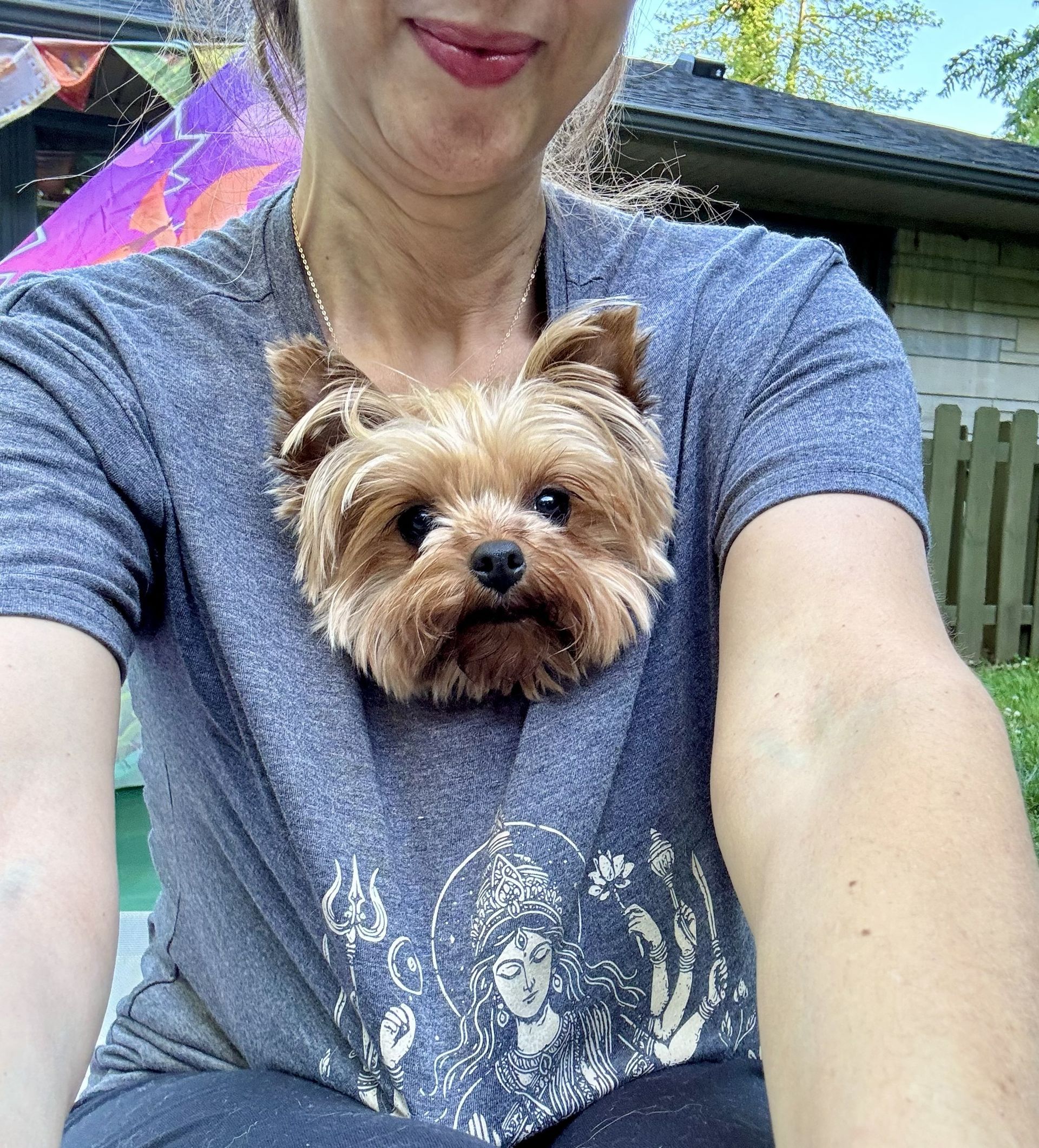 Little dog in the care of Kasey at Doggy K Care in Paducah, KY