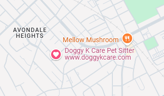 Map of location for Doggy K Care in Midtown Paducah