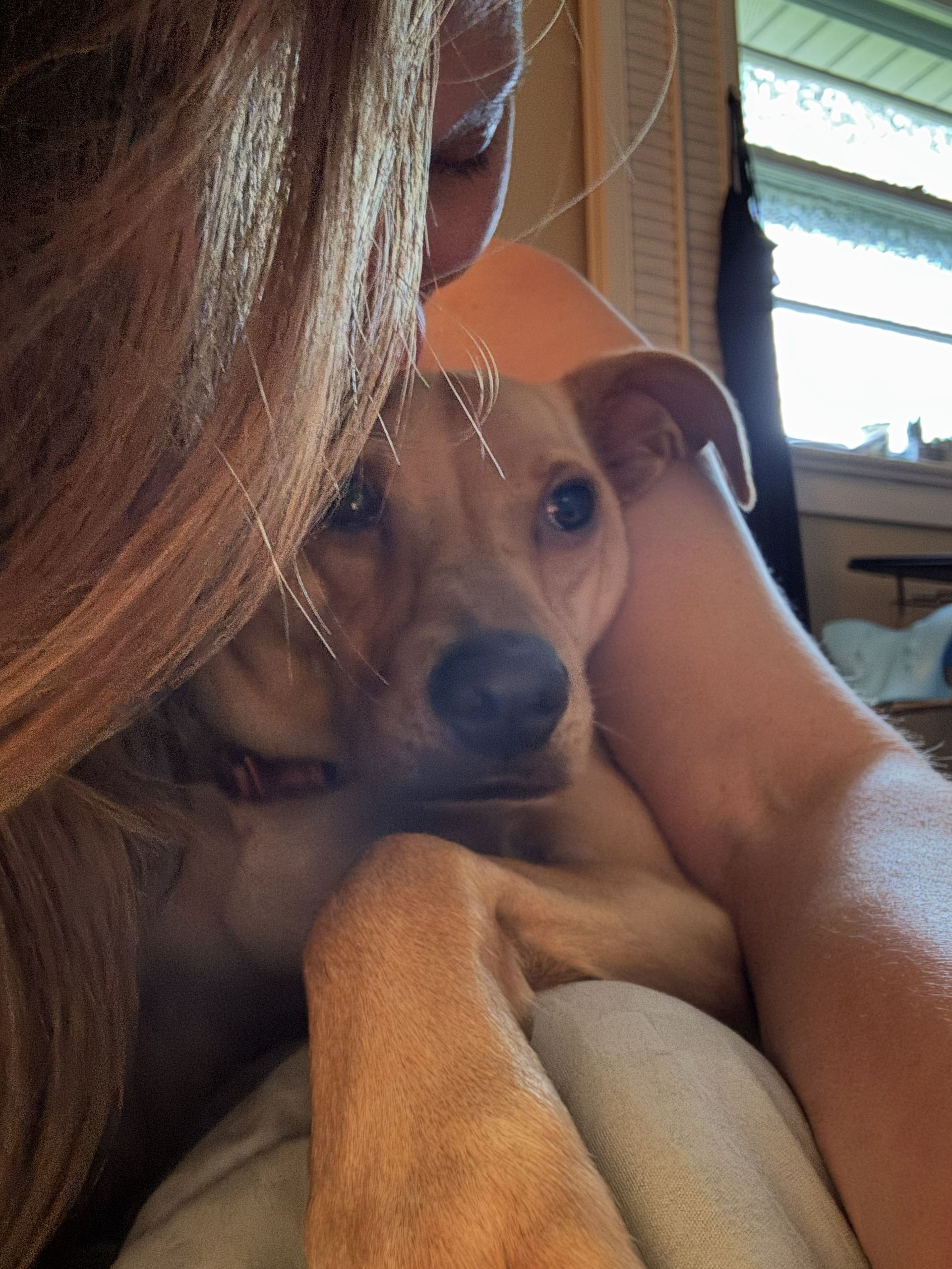Owner cuddling dog during in-home boarding at Doggy K Care