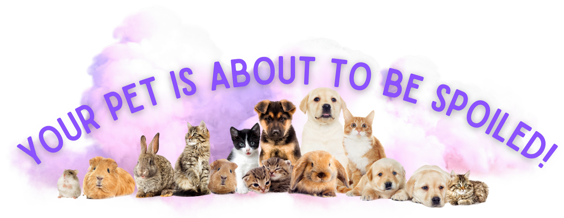 Paducah Pet Sitting and Dog Daycare