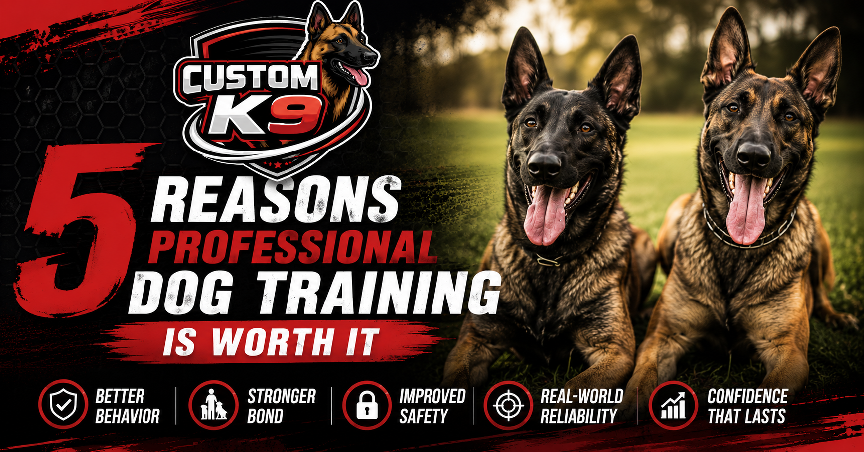 Custom K9 ad with two German Shepherds and bold text: “ reasons professional dog training is worth it”
