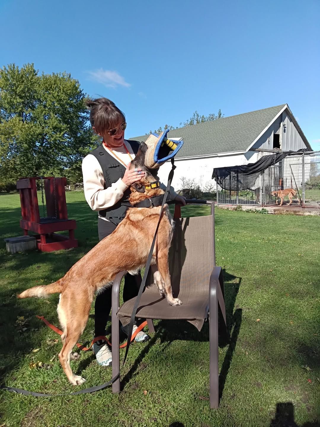 K9 handler training with a Belgian Malinois at the Custom K9 training ground in Bourbonnais Illinois