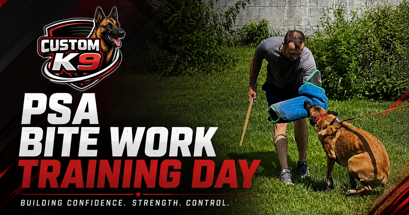 Custom K9 PSA bite work training day with handler and dog on a grassy field