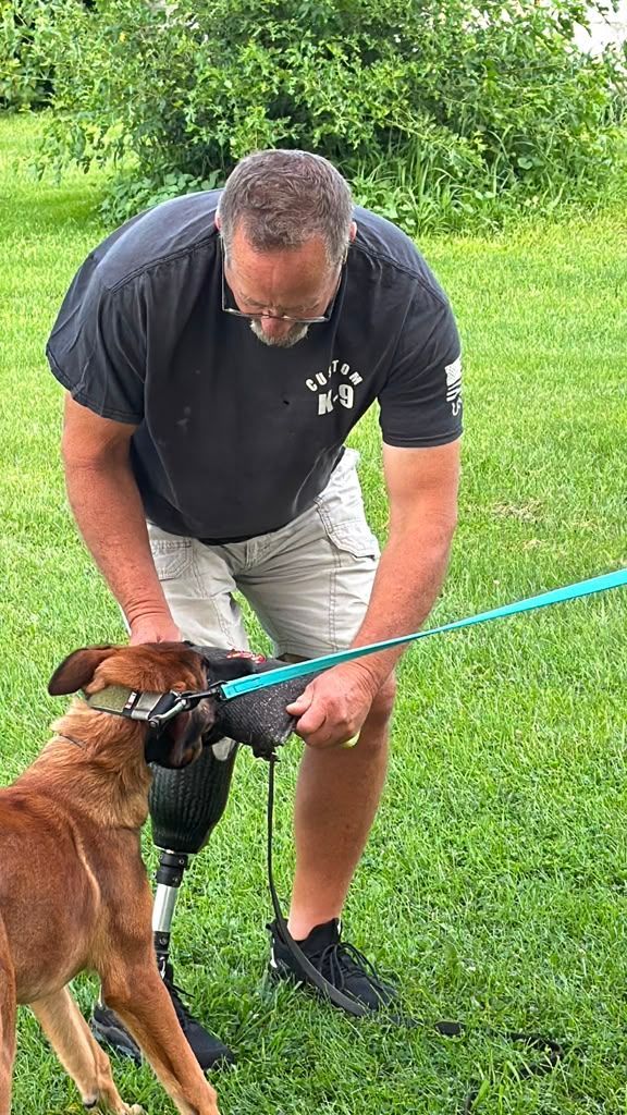 PSA bite work training in Bourbonnais Illinois, decoy taking a bite in the suit at Custom K9 Dog Training